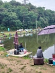 황토낚시터 유료낚시터 > 극심한가뭄으로전국낚시터가고통 : 낚시사랑