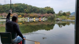 금광호수낚시터 유료낚시터 > 일요일 조황 입니다. : 낚시사랑