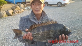 (땐마,선외기)4짜감성돔외마리수!