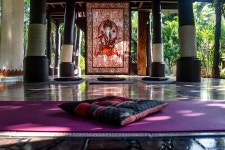더 트리 치앙마이(The tree chiang mai) | The Warriors House Chiang Mai - 치앙마이 - The Warriors House Chiang Mai의 리뷰 - 트립어드바이저