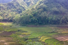 Jaker Tour Borobudur - 보로부드르 - Jaker Tour Borobudur의 리뷰 - 트립어드바이저