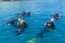 슈스프리다이브 | Dive Safari Whitsundays - Jubilee Pocket - Dive Safari Whitsundays의 리뷰 - 트립어드바이저