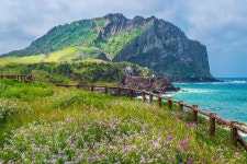 주식회사 트립제주 | KI TRIP - 제주 - KI TRIP의 리뷰 - 트립어드바이저