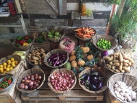 Authentic Mauritian experience! - Review of Otentic Eco Tent Experience, Grande Riviere Sud Est, Mauritius - Tripadvisor