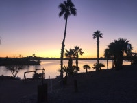 Nice setting and very well maintained - Review of Islander Resort, Lake Havasu City, AZ - Tripadvisor