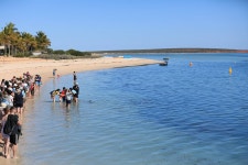 nice place for 1 night stay - Review of RAC Monkey Mia Dolphin Resort, Monkey Mia, Australia - Tripadvisor