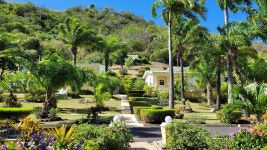 더보타니아 | Beautiful Surroundings - Review of Blue Horizons Garden Resort, The Lime, Grenada - Tripadvisor Beautiful Surroundings - Review...