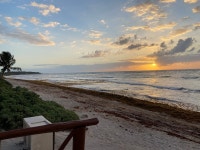 A wonderful all inclusive experience! - Review of Unico Hotel Riviera Maya, Akumal, Mexico - Tripadvisor