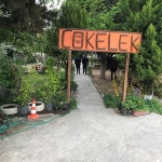 Egecokkelek Kahvalti Evi, 이즈미르 - 레스토랑 리뷰 - 트립어드바이저