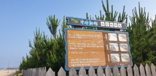 낙산 해수욕장