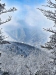 야미야미왕산점 | 발왕산