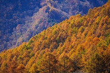 영취산슈퍼 식당 | 영취산