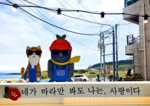 헬로제주(hello제 - 제주시 조함해안로 504 | 헬로 제주