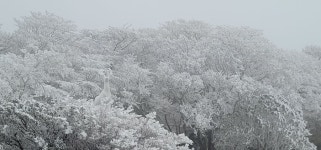 1100로휴게소농수산직판점 | 1100 고지 휴게소