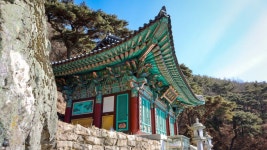 대운불교종합상사 | 대운암