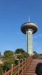 Foto aus Naver-Suchergebnissen 3