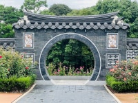 행원