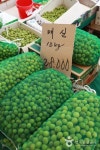 제천 역전 한마음 시장