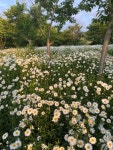 변산 마실길 1코스