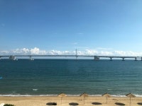 컵 앤 컵