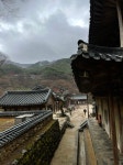 화엄사