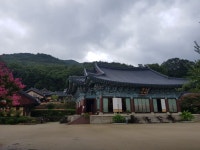송광카세차 | 송광사