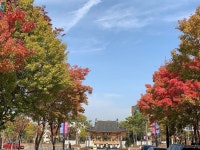 전북 대학교 전주 캠퍼스