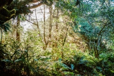 You Spend 5 Percent of Your Day Outside. Try Making It More | WIRED You Spend 5 Percent of Your Day Outside. Try Making It More