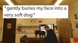 미스터주전부리강시떡볶이 | Buries Face GIF - Dog Soft Mr Robot - GIF 탐색 및 공유