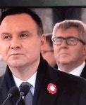 Duda GIF - Duda - GIF 탐색 및 공유