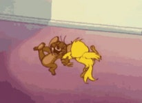 Fun GIF - Fun - GIF 탐색 및 공유