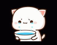 Cute Cat Crying GIF - Cute Cat Crying Tears - GIF 탐색 및 공유