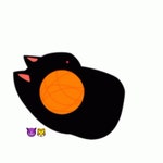 Cute Cat Playing Tangled In Yarn GIF - Cute Cat Playing Tangled In Yarn Caught - GIF 탐색 및 공유
