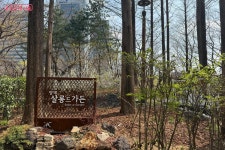 살롱드가든~양재살롱관 | 서울시 - 내 손안에 서울 양재천에서 봄을 즐기는 다채로운 방법! 살롱드가든~양재살롱관