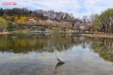 정원놀이교육.커피숲.아쿠아워시전주점 | 식목일 맞아 '꿈의숲, 꿈의정원' 조성했어요 | 서울시 - 내 손안에 서울 꿈을 심어 희망을 피우다! 식목일 맞아 '꿈의숲, 꿈의정원' 조성했어요