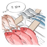 스시문:달스시MOON:달 | 오마카세 넌 정체가 뭐니? - 함께하면 더 맛있는 즐거움 메티즌 - 함께하면 더 맛있는 즐거움