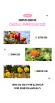 시크릿쥬쥬 별의여신 아이팔레트 | 주식회사 네모난오렌지 - 예스24