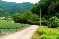 별천지민속품 | 삼척에서 세금을 거두어간 영월의 삼척산<알고 보면 더 재미있는, 지명의 유래<지역N문화 테마 삼척에서 세금을 거두어간 영월의 삼척산