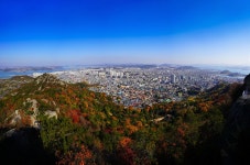 รูปภาพผลการค้นหา Naver 2