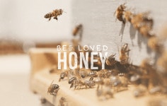Bee Loved Honey :: Behance Bee Loved Honey - Courtney Shelley