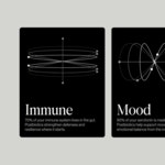 Second Kind :: Behance Second Kind - Ofform Studio