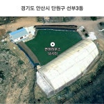 사구팔_서울금천-면허낚시터 조행기 입니다. : 낚시사랑