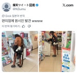 세븐일레븐원주소초점 | 편의점에 나타난 원시인 - BATTLEPAGE