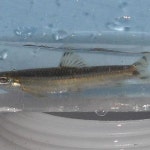 쉬리단란주점 | 쉬리