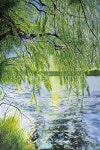 흐르는결(Flowing Texture Hanok) | 강선우 | 강에 흐르는 봄결 :: 오픈갤러리