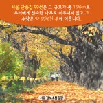 도심에서 즐기는 가을 정취! 서울 단풍길 99선 > 카드뉴스 > 시민관심정보 > 시민소통 > 정보소통광장 도심에서 즐기는 가을 정취! 서울 단풍길 99선