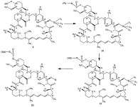 특허 WO2004060283A2 - Nitrosated and nitrosylated rapamycin compounds, compositions and methods of use - Google 특허 검색...