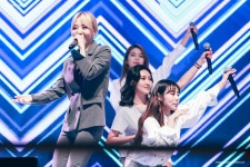 수제만두엄마맘두MOMDOO | 맘무센치 (@mammoocm) Twitter Profile | Twicial