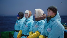 언니네 산지직송2 다시 보기 보는곳 | PicklePlus
