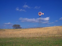 Makanda, IL : MAKANDA IL- BLUE SKY VINEYARD- LOOK AT THE BLUE SKY! photo, picture, image (Illinois) at city-data.com